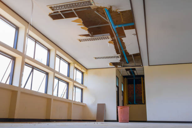 Best Water damage cleanup near me  in Richland, MS