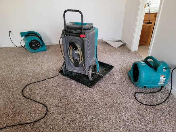Water damage restoration insurance claims in MS