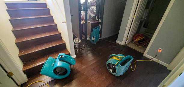 Best Sewage cleanup and water damage restoration  in Richland, MS