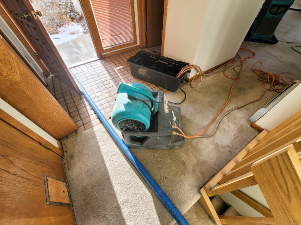 Best Emergency water extraction  in Richland, MS