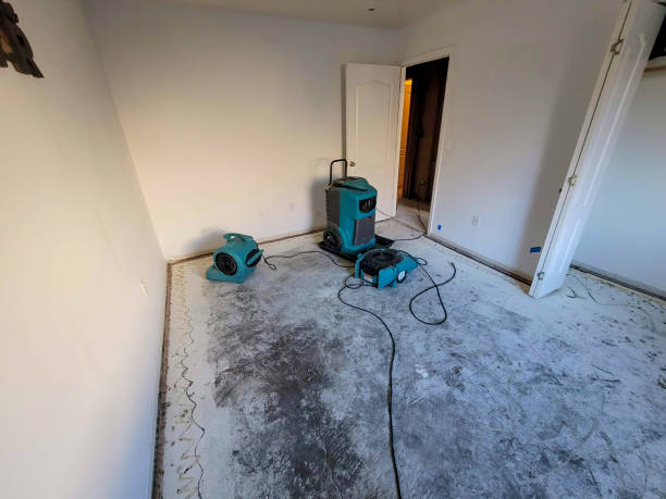 Best Flood restoration services  in Richland, MS