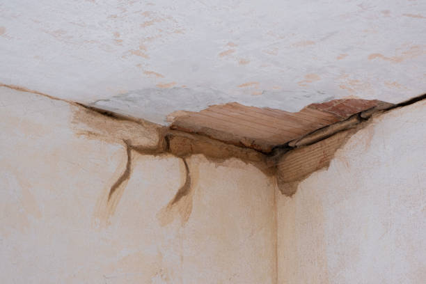 Local water damage restoration in MS