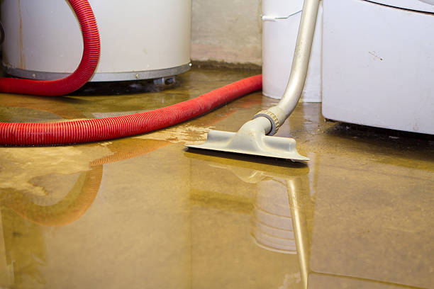 Best Water damage restoration near me  in Richland, MS