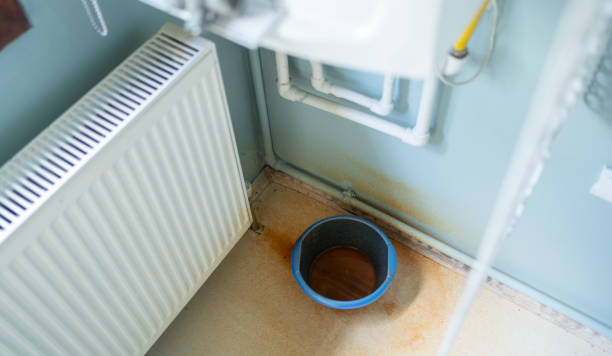 Best Flood damage cleanup  in Richland, MS