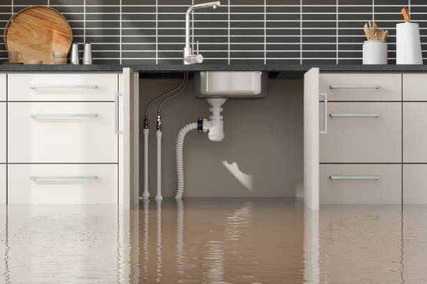 Best Ceiling water damage repair  in Richland, MS