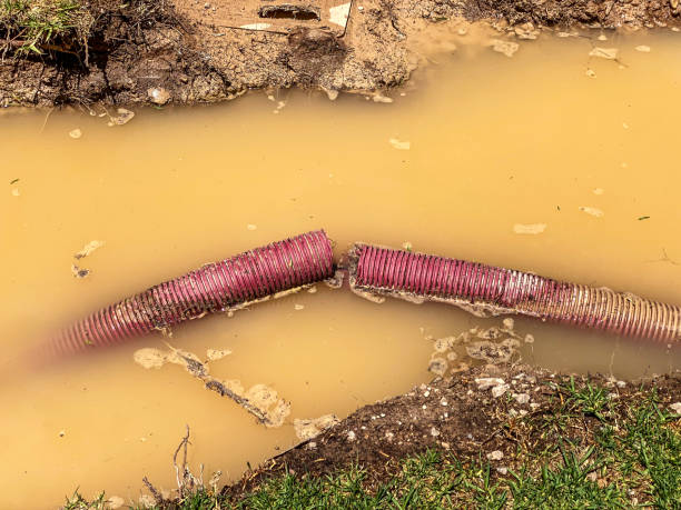 Best Water damage restoration cost  in Richland, MS