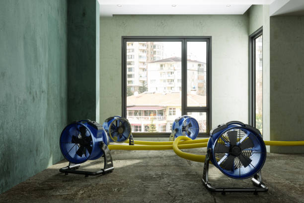 Best Residential water damage restoration  in Richland, MS