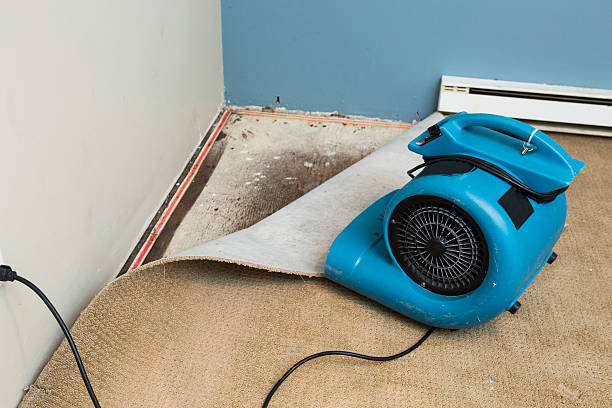 Best 24/7 water damage repair  in Richland, MS